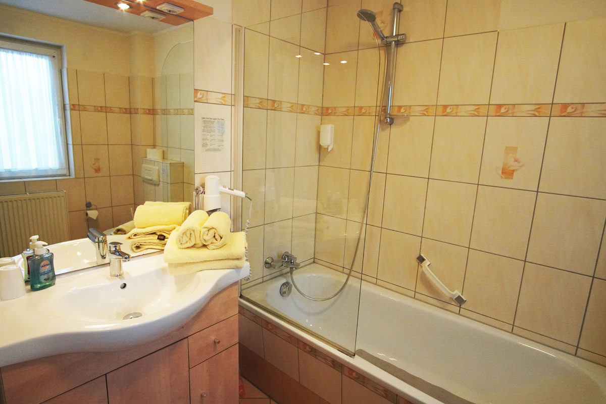 Landgasthof und Landhotel Heidekrug Cotta - Appartement mit Badezimmer